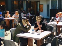 -Patagonia Chocolates(皇后镇店)