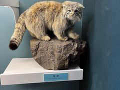 -国家自然博物馆