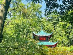 -岳麓山风景名胜区