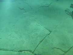 -白鹤梁水下博物馆
