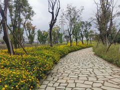 -白鹭湾湿地公园