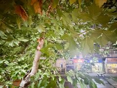 -新疆烧烤王(广灵店)