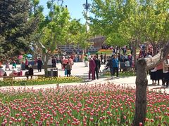 -长春公园(普阳街道)