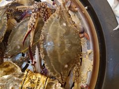 -四海蒸鲜蒸汽海鲜自助(北戴河店)