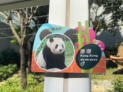 -石排湾郊野公园