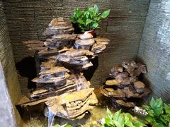 -寻钵记民菜馆·正宗常德钵子菜(滨湖路店)