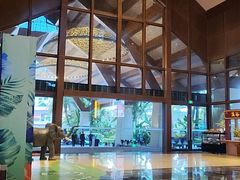 -碧桂园润杨溪谷温泉酒店