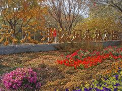 -永定河休闲森林公园