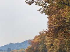 -北山街历史文化街区