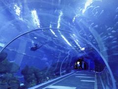 -成都浩海立方海洋公园