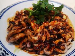 捞拌脆八带-卫鼎轩·家宴(水上公园店)
