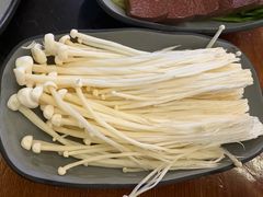 -重庆川渝肥妹火锅