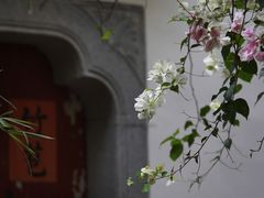 -深圳国际园林花卉博览园