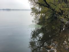 -西昌邛海湾柏樾酒店(原邛海湾柏栎度假酒店)