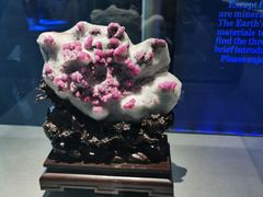 -中国铁道博物馆(正阳门馆)