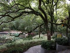 -香港大学