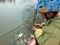 -青枫公园