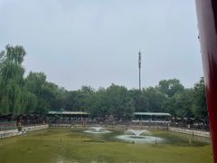 -尚庄度假村·庭台树下·户外烧烤·团建CS·轰趴营地(上庄水库店)