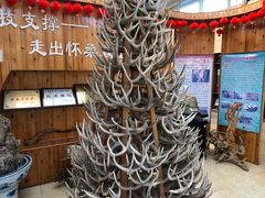 -北京鹿世界主题园
