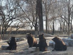 -北京野生动物园