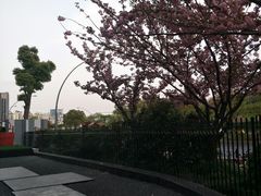 -柒厢食事雅谈