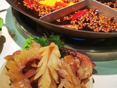 发鱿鱼-朱氏胖子烂火锅(洪崖洞店)
