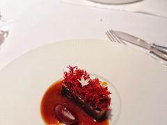 -迪拜帆船酒店海底餐厅