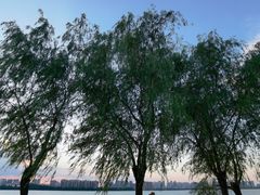 -艾溪湖湿地公园