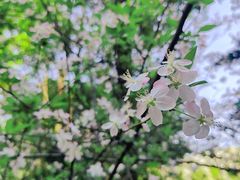 -重庆彩云湖湿地公园