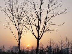 -汉长安城未央宫国家考古遗址公园