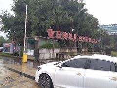 -陶然居·重庆菜(生态园店)
