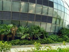 android_upload_pic-上海滴水湖皇冠假日酒店