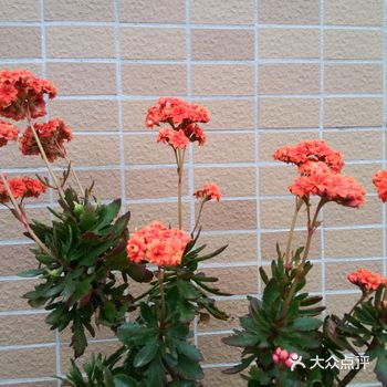 每一次变化都会带给你无限的希望与惊喜！