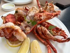 烤龙虾-Mercato莫卡多露台餐厅与酒吧(K11店)