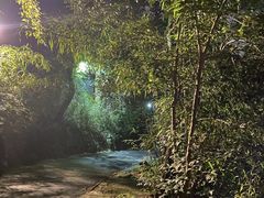 -宋宴(虎跑店)