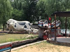 -太阳部落