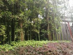 -柳侯公园