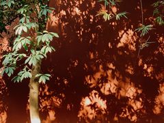-钱王祠