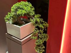 -大唐盲人按摩中心(奥体新安江街店)
