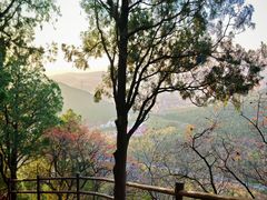 -佛慧山