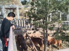 -石家庄市动物园