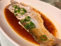 -金美华轩(东方路齐鲁店)