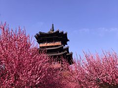 -杭州半山国家森林公园