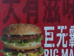 -麦当劳(红旗路店)