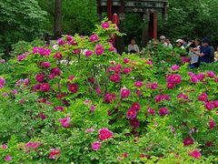-迎泽公园