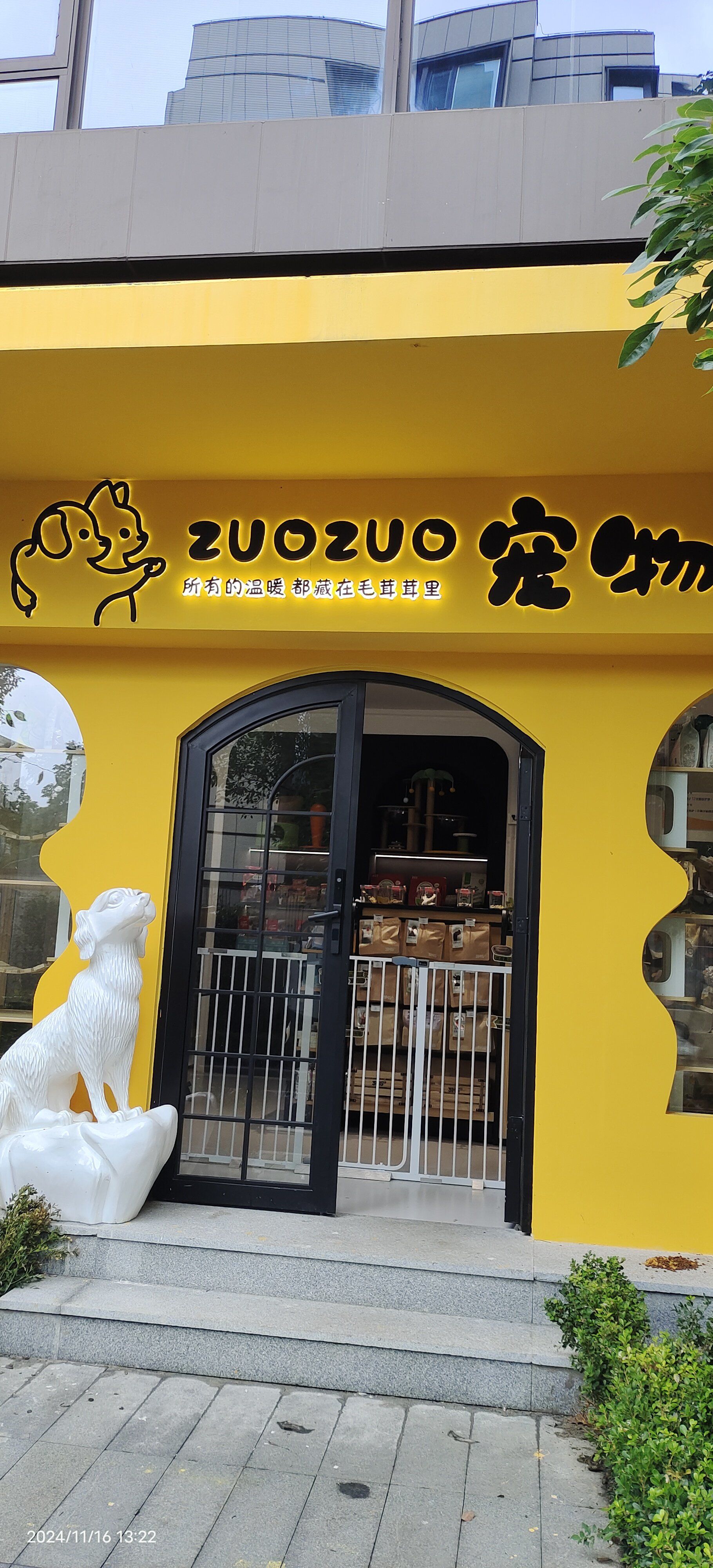 这家猫猫店,环境很不错,进来异味也不严重