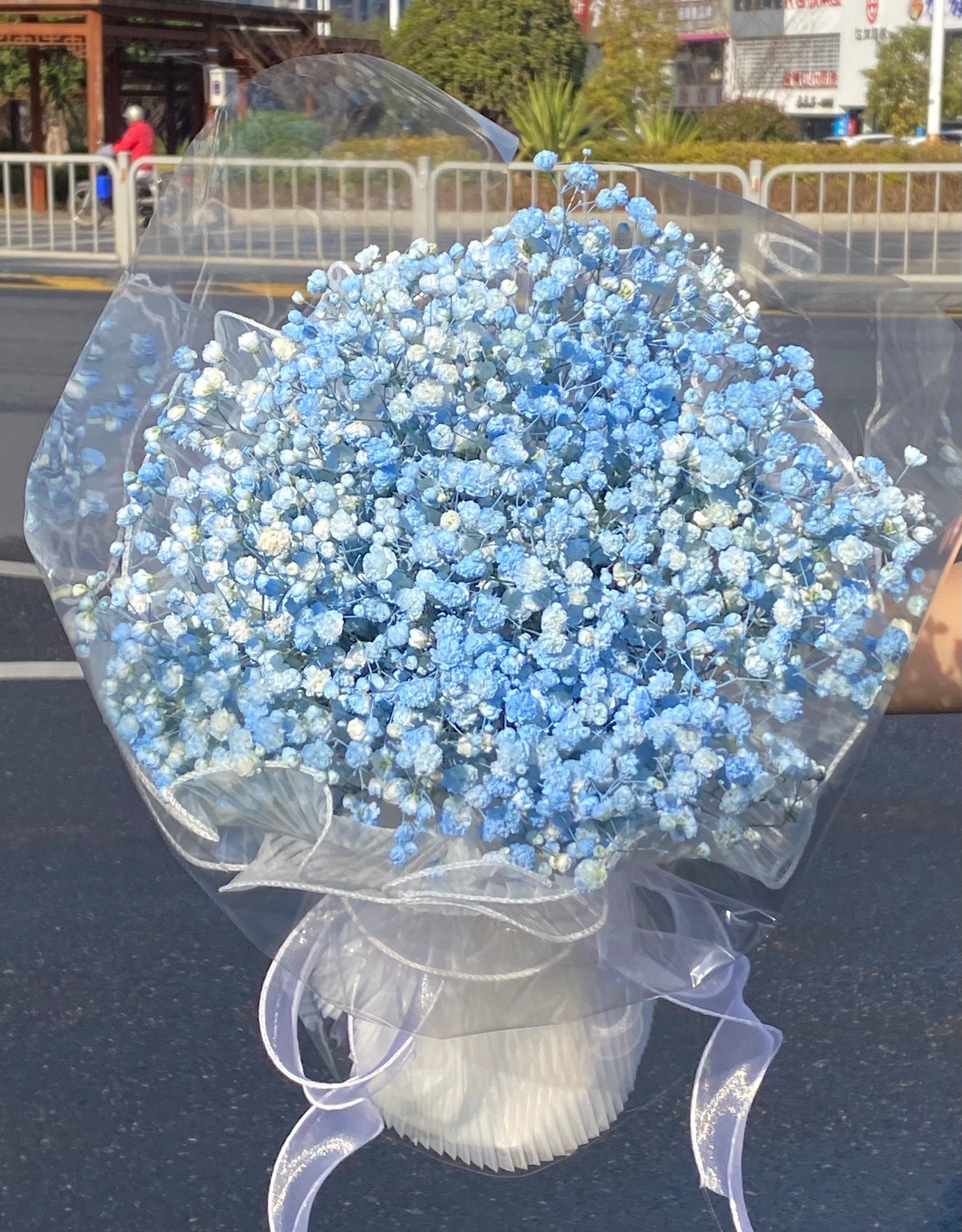 碎冰蓝满天星花束