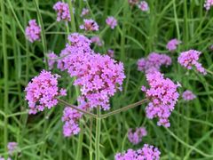 -光明小镇欢乐田园