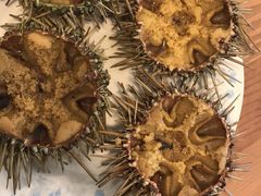 生海胆-海胆小馆(东北水饺·春柳店)