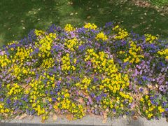 -苏州河梦清园环保主题公园